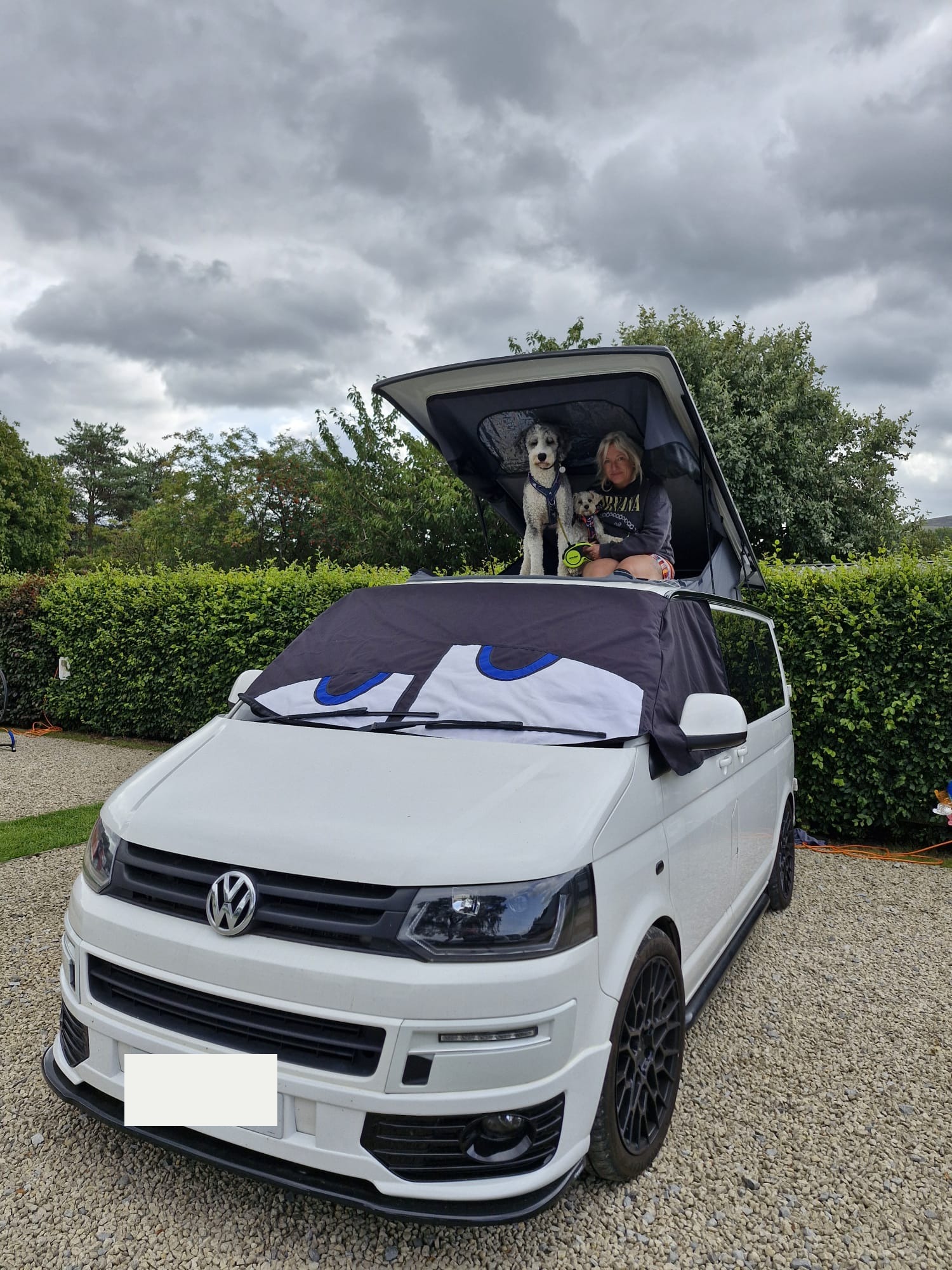 Sarah sitting on the upper pop-top bed with both dogs in a converted Volkswagen Transporter campervan